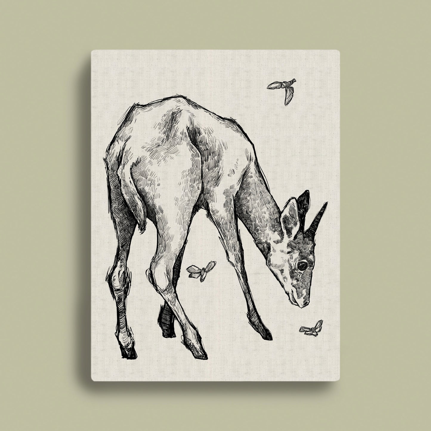 Common Duiker Monochrome Rectangular Canvas