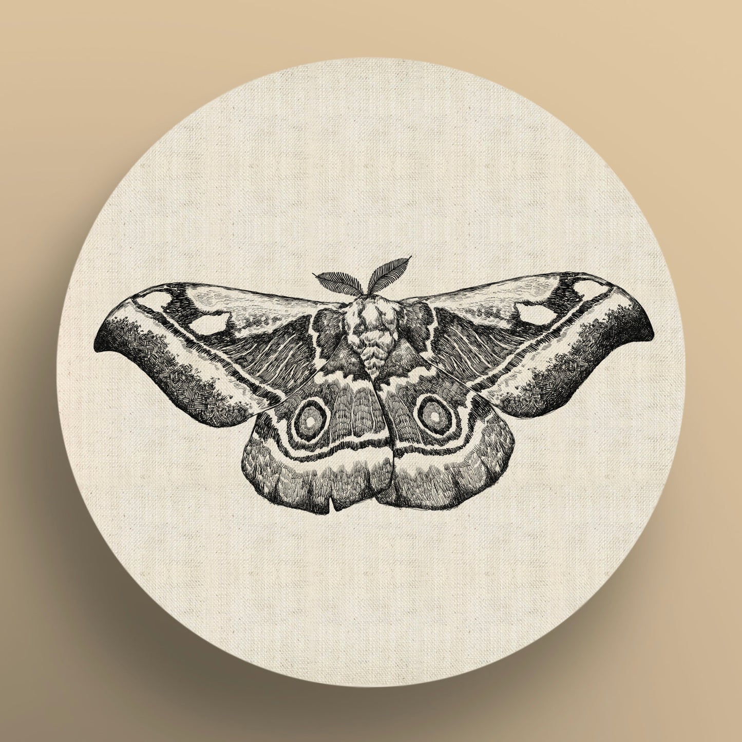 Emperor Moth Monochrome Round Canvas