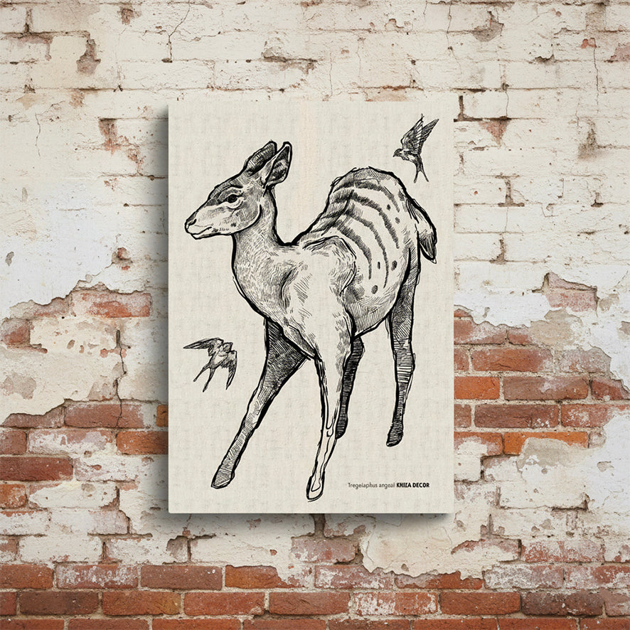 Nyala Monochrome Rectangular Canvas