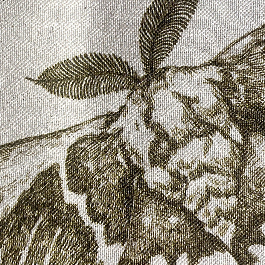 Indigenous African Insect Wings Brown on Beige Tablecloth