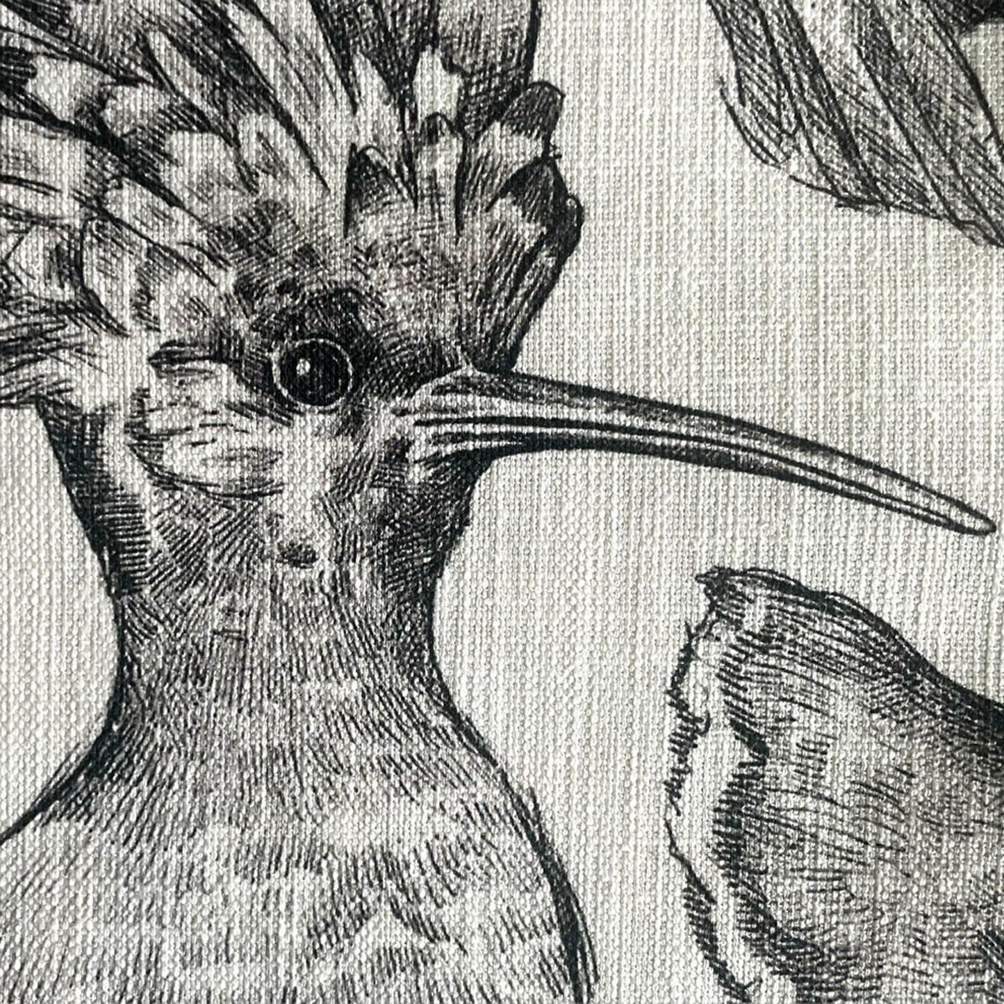 Indigenous African Birds Monochrome on Beige Scatter Cushion Cover