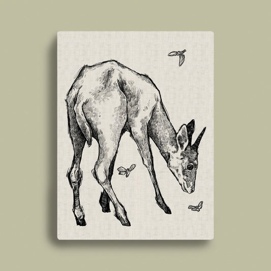 Common Duiker Monochrome Rectangular Canvas