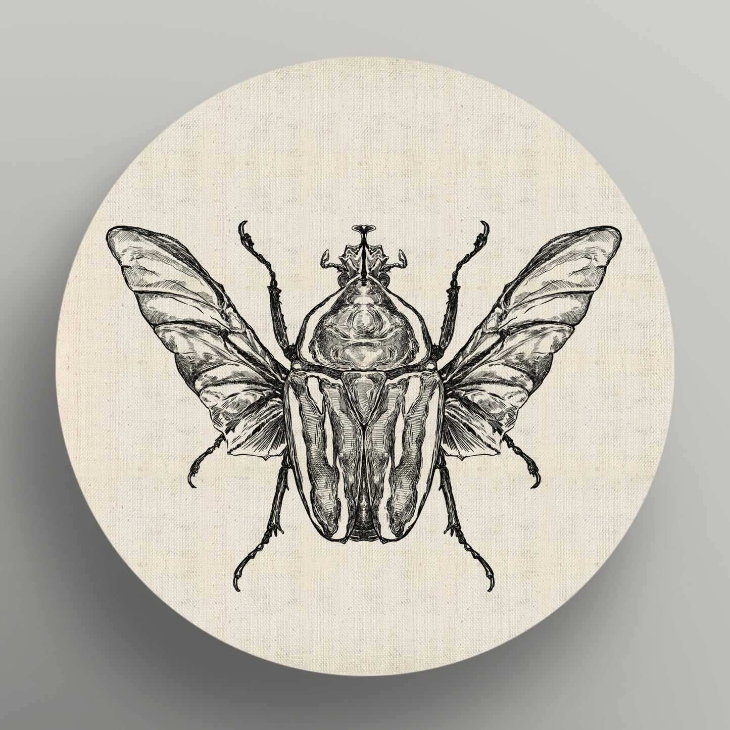 Derby's Flower Chafer Monochrome Round Canvas