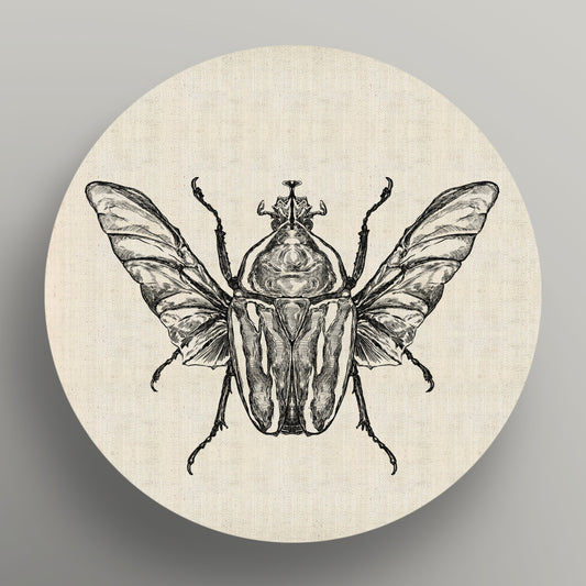 Derby's Flower Chafer Monochrome Round Canvas