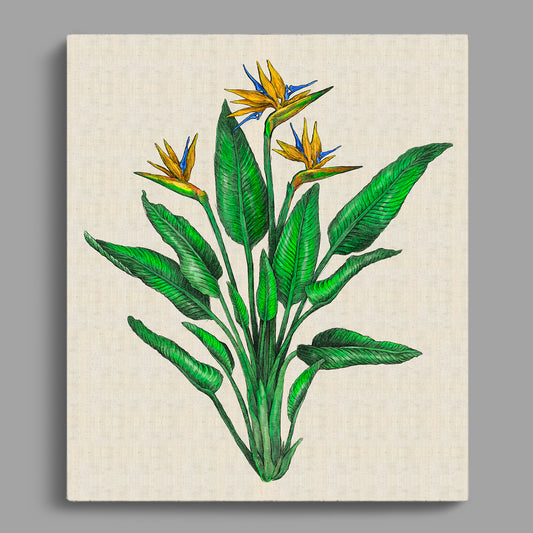 Strelitzia Colour Rectangular Canvas