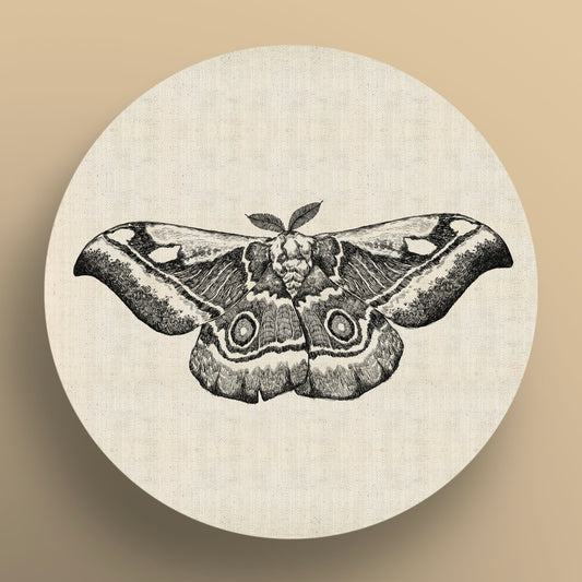 Emperor Moth Monochrome Round Canvas