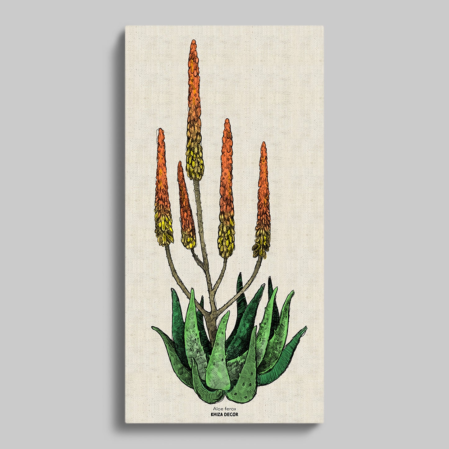 Cape Aloe Colour Rectangular Canvas
