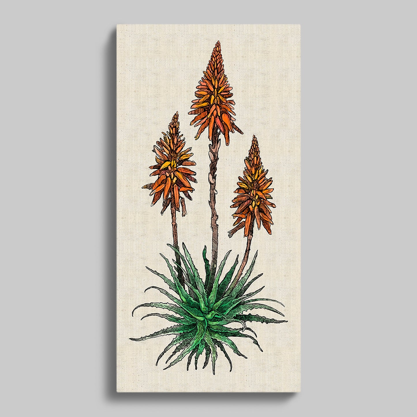 Candelabra Aloe Colour Rectangular Canvas