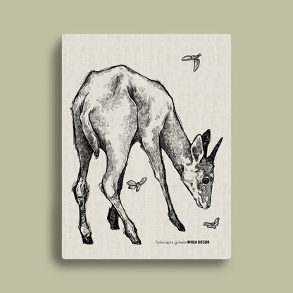Common Duiker Monochrome Rectangular Canvas