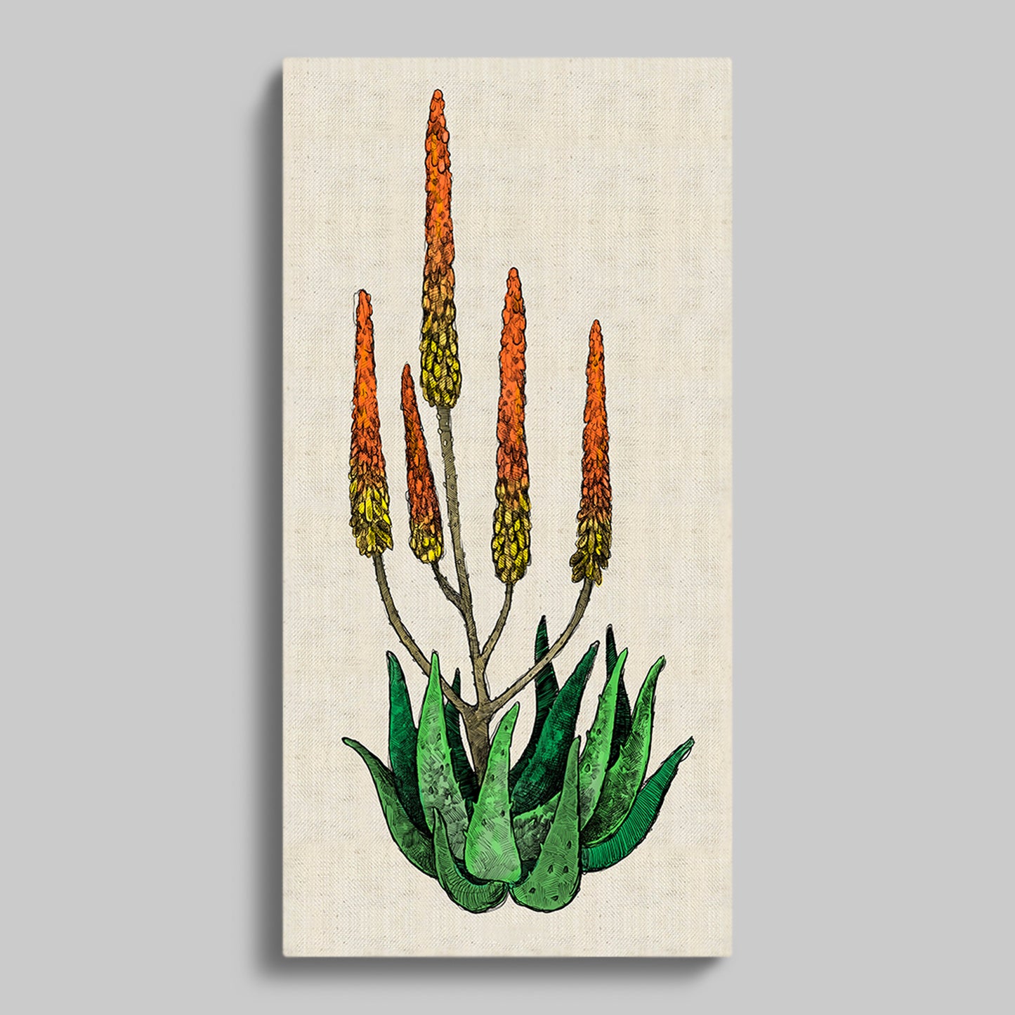 Cape Aloe Colour Rectangular Canvas