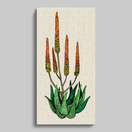 Cape Aloe Colour Rectangular Canvas