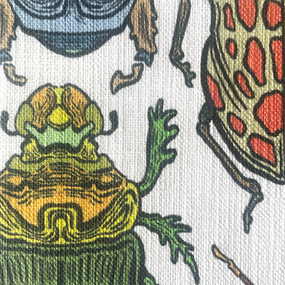 Beetle Multicolour on White Scatter Cushion Cover