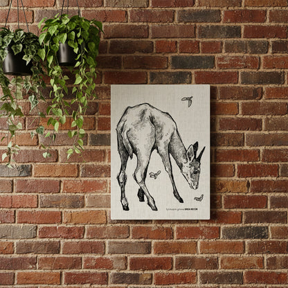 Common Duiker Monochrome Rectangular Canvas