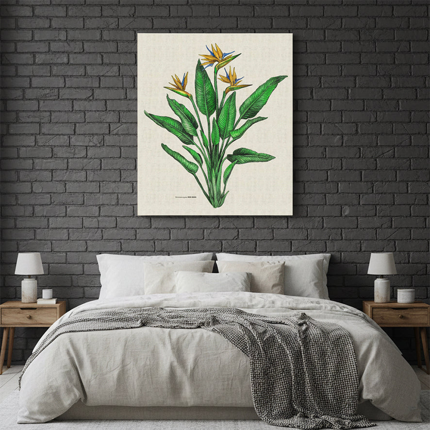 Strelitzia Colour Rectangular Canvas