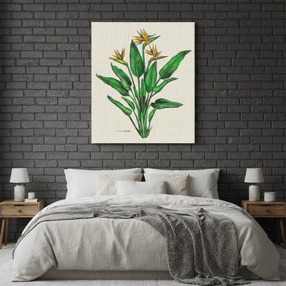 Strelitzia Colour Rectangular Canvas