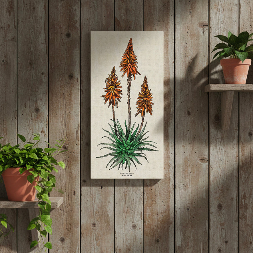 Candelabra Aloe Colour Rectangular Canvas