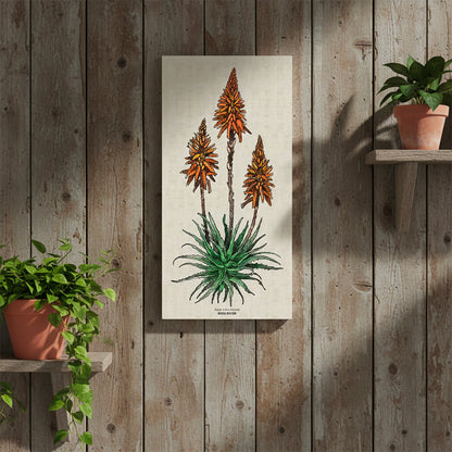 Candelabra Aloe Colour Rectangular Canvas