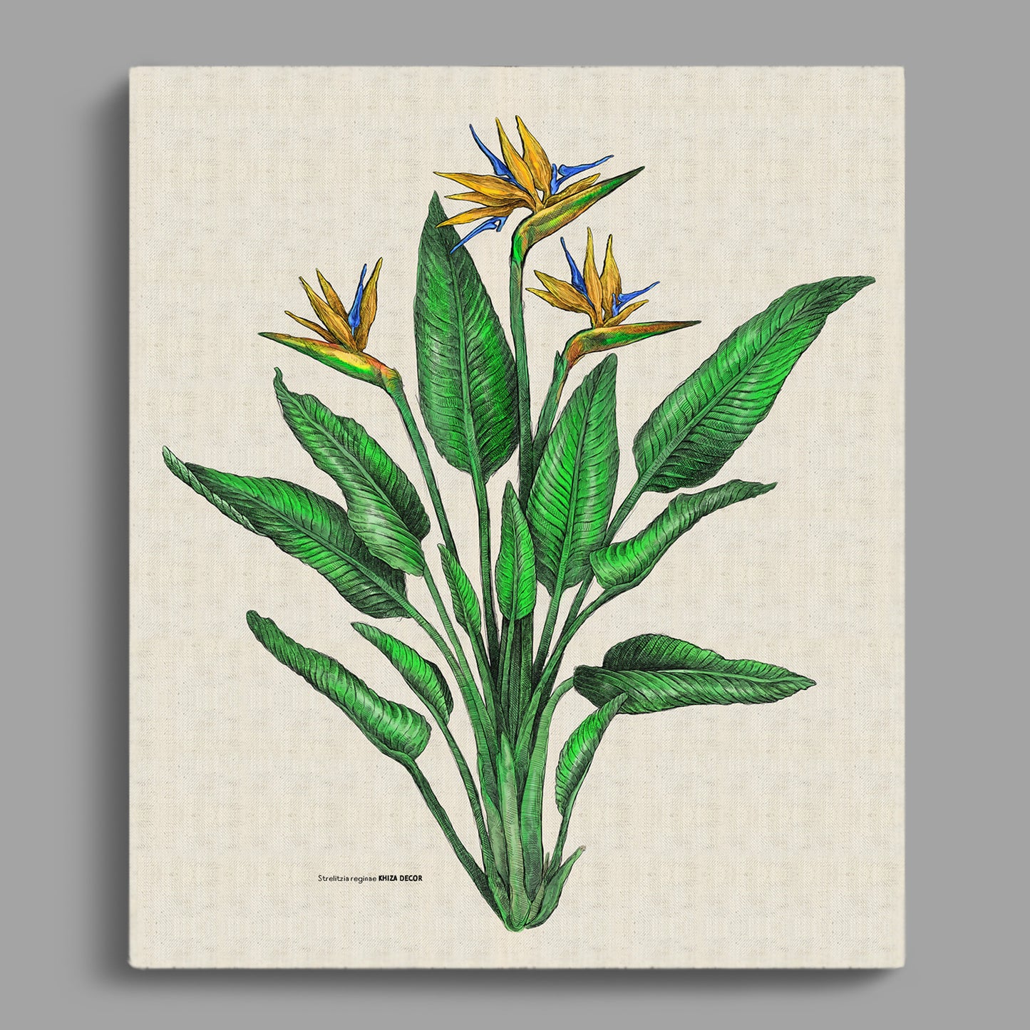 Strelitzia Colour Rectangular Canvas