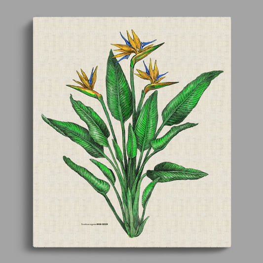 Strelitzia Colour Rectangular Canvas