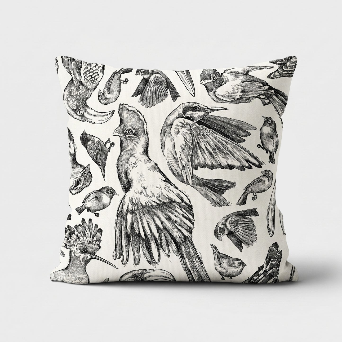 Indigenous African Birds Monochrome on Beige Scatter Cushion Cover