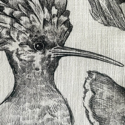 Indigenous African Birds Monochrome on Beige Scatter Cushion Cover